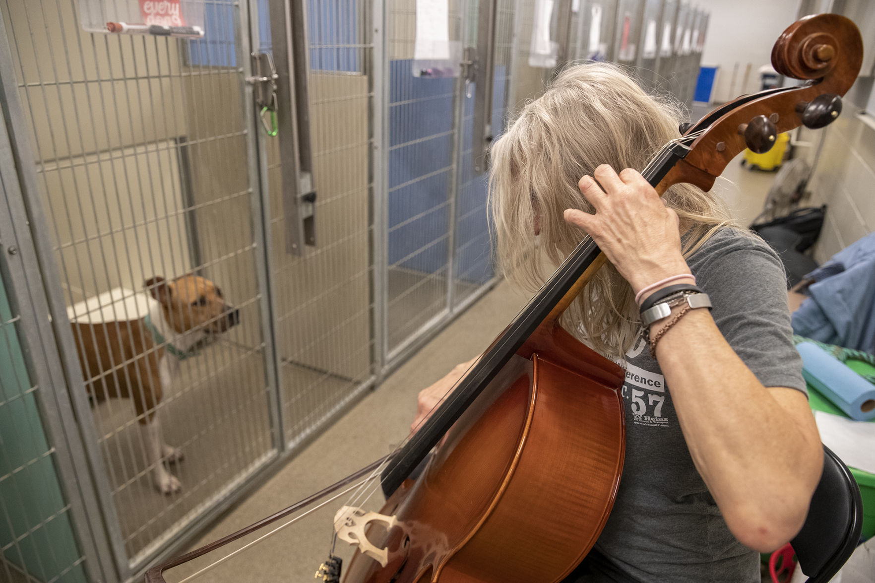 Midlands Humane Society